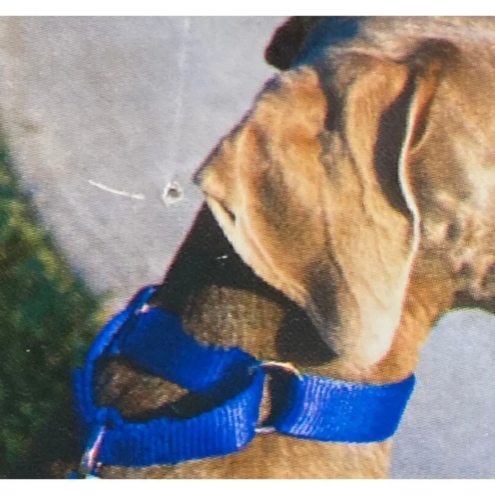 Dog Collar Adjustable THE GRRRIP Limited Choke Collar Nylon 18”-30” Green